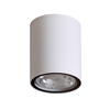 Lampa zewnętrzna Italux OPN-2006-3K Biały piaskowany