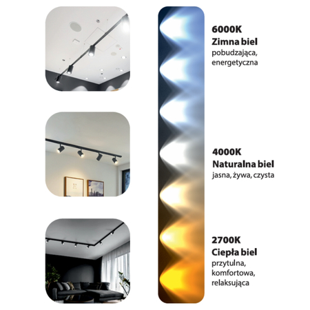Blaupunkt Reflektor LED 3-fazowy Vision 30W biały z przełącznikiem barwy światła
