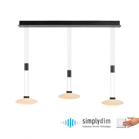 Lampa wisząca Paul Neuhaus LAUTADA 2081-18 czarny