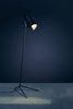 Lampa podłogowa Nemo CLAENN21 Claritas