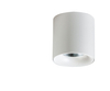 Spot MANE 10W 4000K WHITE Azzardo AZ4324 biały