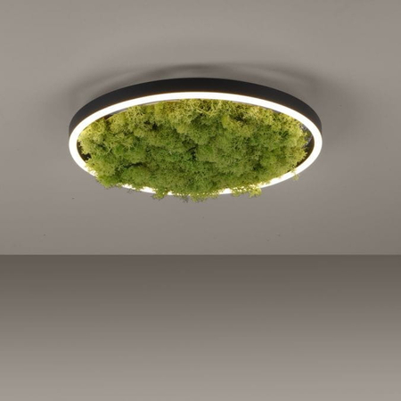 Lampa sufitowa GREEN RITUS Zuma Line 15391-66 zielony