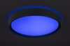 Lampa sufitowa Rabalux Achilles 3146 czarny