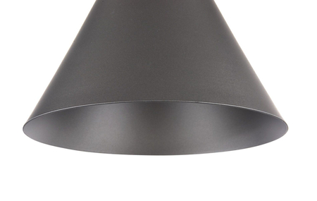 Lampa wisząca Maytoni Bicones P359-PL-220-C Black