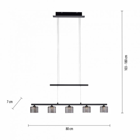 Lampa wisząca Paul Neuhaus HYDRA 2209-18 czarny