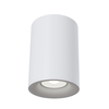 Spot Maytoni Alfa C012CL-01W White