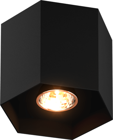 Spot sufitowy Polygon CL 1L Spot 20035-BK Zuma Line