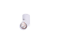 Spot SANTOS GU10 WH Azzardo AZ4200 white