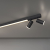 Lampa sufitowa Paul Neuhaus PURE-LINES 6121-13 grafitowy
