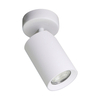 Spot Zuma Line TLS006-WH TORE LAMPA SUFITOWA BIAŁA/WHITE