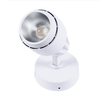 Reflektor nastropowy LED Greenie COB 20W biały CW