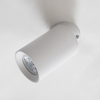 Spot Zuma Line TLS006-WH TORE LAMPA SUFITOWA BIAŁA/WHITE