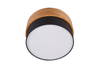Lampa sufitowa Trio 611500202 srebrny