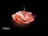 Lampa sufitowa/kinkiet Slamp FABCM00PRS00000000EU Fabula Prisma