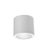 Spot Azzardo CONYON IP54 25W CCT SWITCH WH AZ6030 WHITE