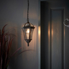 Endon Lighting Lampa zewnętrzna wisząca YG-3503 czarny