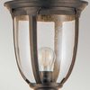 Lampa zewnętrzna Elstead Lighting Cleveland brąz CL5-M