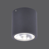 Lampa sufitowa GEORG Zuma Line 9673-13 grafitowy