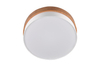 Lampa sufitowa Trio 611500301 srebrny