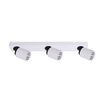 Spotlight Italux FH31313A11 Lucien