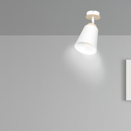Lampa sufitowa ATLAS 1 WHITE Emibig 724/1 biały