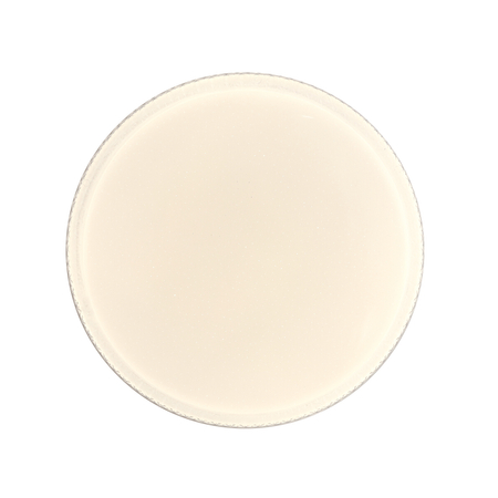 Plafon Italux PLF-63748-L-CL Biały