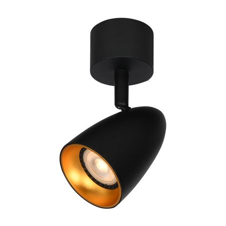 Spot Italux SPL-36748-1R-BK-GD Czarny, złoty