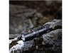 Latarka diodowa Fenix 039-519  PD25R