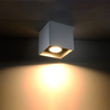Sollux Lighting Plafon QUAD 1 złoty SL.1182