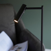 Endon Lighting Lampa podłogowa 99772 czarny