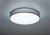 Lampa sufitowa Trio 621914011 szary