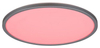 Lampa sufitowa Rabalux Rasmus 2290 srebrny