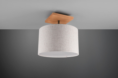 Lampa sufitowa Trio 602100130 biały/srebrny