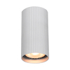 Spot Italux Rilok CLN-83920-S-ALU Aluminiowy
