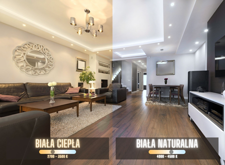 Reflektor nastropowy LED Abigali Longer 12W biały CRI90+ WW