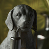 Lampa stołowa Endon Lighting Labrador Puppy 107365 czarny