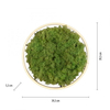Lampa sufitowa GREEN RITUS Zuma Line 15391-66 zielony