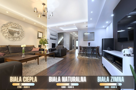 Lampa liniowa LED Abigali Rectangle System double side prostokąt CW