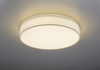 Lampa sufitowa Trio 621914001 biały