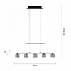 Lampa wisząca Paul Neuhaus HYDRA 2209-18 czarny