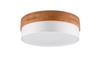 Lampa sufitowa Trio 611500301 srebrny