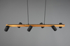 Lampa wisząca Trio 312490632 czarny