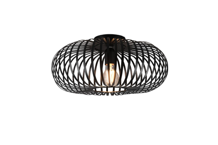 Lampa sufitowa Trio 606900132 czarny