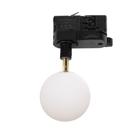 Lampa do szynoprzewodu Zuma Line ALI 9020BK biały/czarny