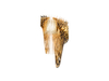 Kinkiet Slamp ARIA APPLIQUE - GOLD S ARIWS00GLD00000000EU złoty