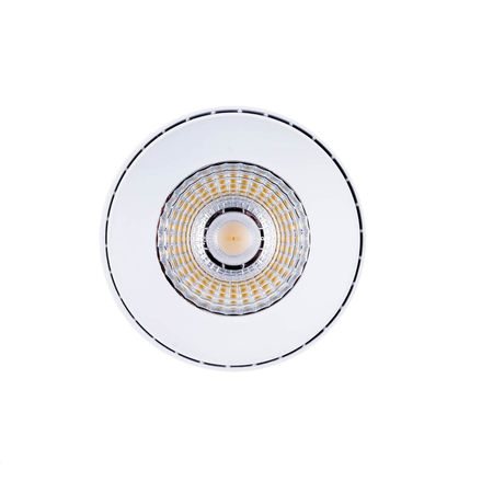 Reflektor nastropowy LED Greenie COB 30W z regulowanym kątem świecenia NW