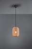 Lampa wisząca Trio 303000132 czarny