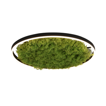 Lampa sufitowa GREEN RITUS Zuma Line 15392-66 zielony