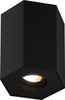 Spot sufitowy Polygon CL-R 20077-BK Zuma Line