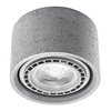 Sollux Lighting Plafon BASIC 1 beton SL.0881